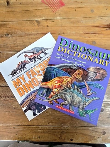 2pack! NEW* Dinosaur Children's Books