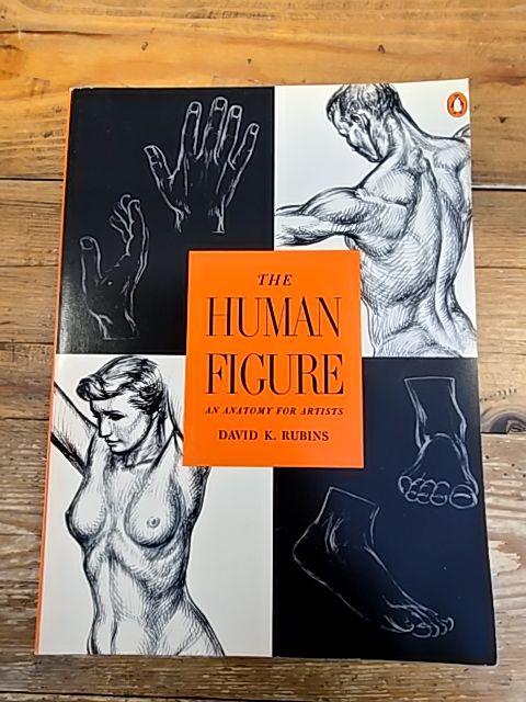 The Human Figure - David K. Rubins